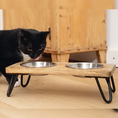 Chat noir et blanc à côté d'une gamelle double surélevée en bois avec deux bols en métal, pieds en métal noir, posée sur un sol en bois clair.
