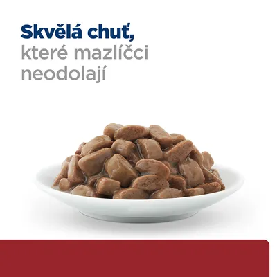 Miska s kúskami krmiva v omáčke. Text v češtine: Skvělá chuť, které mazlíčci neodolají.