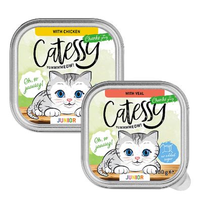 Catessy Junior Hapjes in sausmix met 2 smaken 16 x 100 g