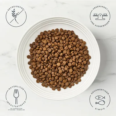 Encore Cat Huhn - 800 g