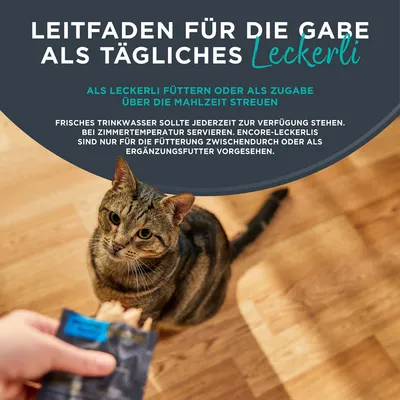 Encore Cat Makrele Loin - Sparpaket: 6 x 30 g