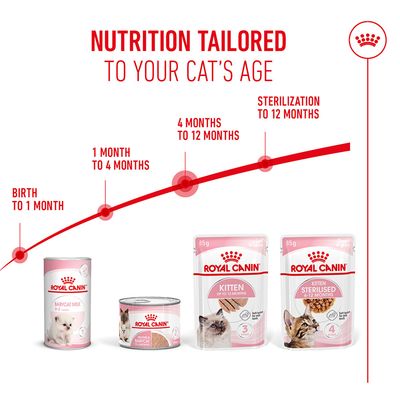 Royal Canin produkter til katte: Babycat Milk (fødsel til 1 måned), killingefoder (1-4 måneder, 4-12 måneder), Killing Sterilised (sterilisation op til 12 måneder).