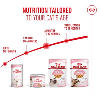 Royal Canin produkter til katte efter alder: Babycat Milk fødsel til 1 måned, Mother & Babycat 1-4 måneder, Killing 4-12 måneder, Killing Sterilised op til 12 måneder. Engelsk tekst.