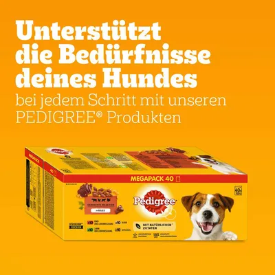 Pedigree Megapack 40 cu ingrediente naturale. Susține nevoile câinelui tău la fiecare pas cu produsele Pedigree. Selecție mixtă în aspic: vită, pui, legume.