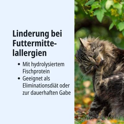Linderung bei Futtermittelallergien mit hydrolysiertem Fischprotein. Geeignet als Eliminationsdiät oder zur dauerhaften Gabe.