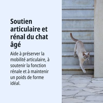Soutien de la fonction articulaire et rénale chez les chats âgés. Aide à préserver la mobilité, à soutenir la fonction rénale et à maintenir un poids idéal.