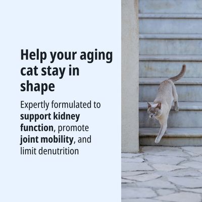 Formulated to support kidney function, promote joint mobility, and limit malnutrition in older cats.