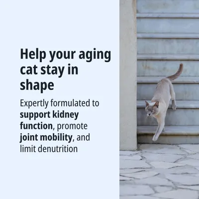 Formulated to support kidney function, promote joint mobility, and limit malnutrition in older cats.
