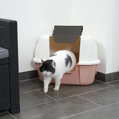 Caja de arena para gatos con tapa y puerta, diseño blanco y rosa. Gato saliendo de la caja. Adecuada para colocación discreta en interiores.