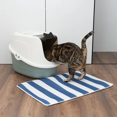 Stängd kattlåda med lucka, randig matta framför, katt går in i lådan.