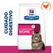 Hill's Gastrointestinal Biome Prescription Diet pienso para gatos 8 kg