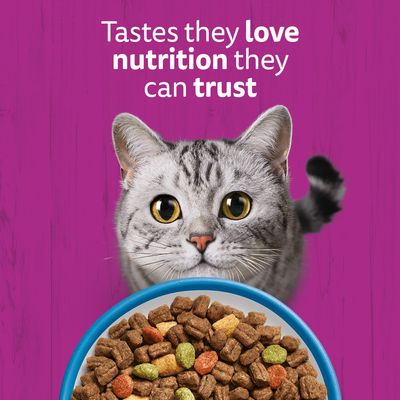 Text in image: Tastes they love, nutrition they can trust. Pictured are a grey cat and a bowl with dry food.