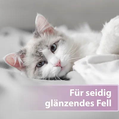 Für seidig glänzendes Fell. Text über einem Bild einer Katze mit hellem, flauschigem Fell.