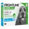 Frontline Combo Spot-On Hond M - 10-20 kg 6 Pipetten x 1,34 ml