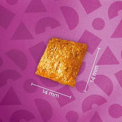 Produktbild av ett gyllene snacks med kvadratisk form, storlek 14 mm x 14 mm, på lila bakgrund. Produktbild av ett gyllene snacks med kvadratisk form, storlek 14 mm x 14 mm, på lila bakgrund.