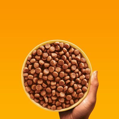 Hand met een gele kom gevuld met ronde, bruine brokjes dierenvoer tegen een effen oranje achtergrond. Merknaam of productinformatie niet zichtbaar.