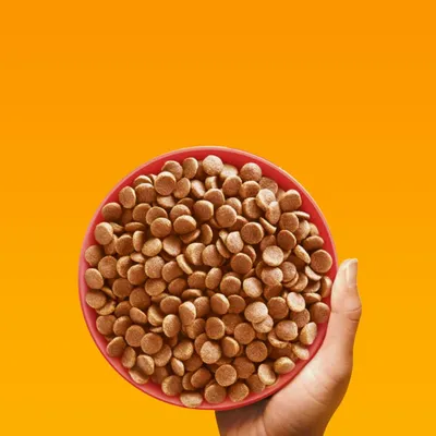 Ruka drží červenou misku s hnědými, kulatými kousky suchého krmiva na oranžovém pozadí.