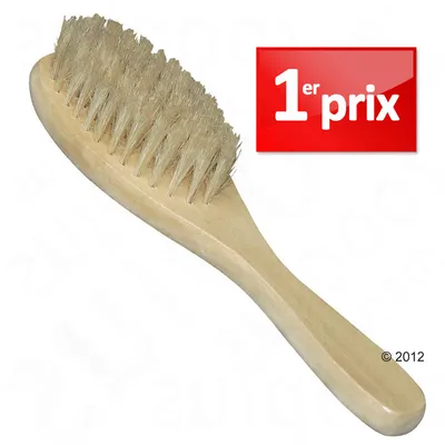 Brosse en bois avec poils clairs, texte visible : 1er prix sur fond rouge.