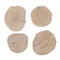 TIAKI Disques à grignoter en bois de café pour petits animaux lot de 4 disques Ø 6 - 10 cm
