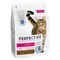 Perfect Fit Adult 1+ Rich in Salmon 2.8kg