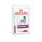 Royal Canin Veterinary Canine Early Renal 12 x 100 g