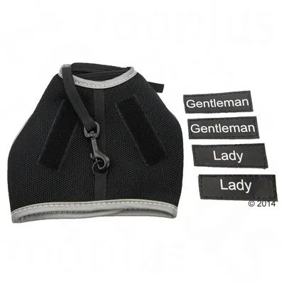 Harnais noir avec bandes velcro et mousqueton, accompagné de quatre étiquettes amovibles : deux « Gentleman » et deux « Lady » en anglais.