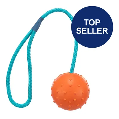 Orange Ball mit Noppen an blauem Seil, gekennzeichnet als 'Top Seller'. Orange Ball mit Noppen an blauem Seil, gekennzeichnet als 'Top Seller'.