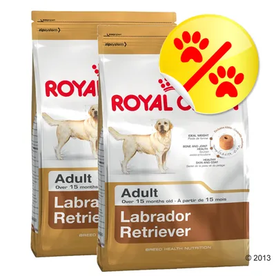 Två påsar Royal Canin Adult Labrador Retriever hundfoder, synlig text: 'Over 15 months old', bild av labrador och foderbit, gul symbol med röda tassavtryck och snedstreck.