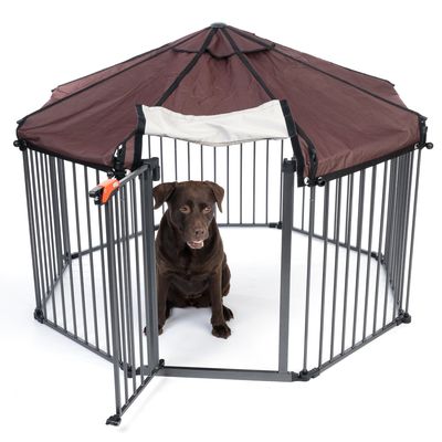 Zeshoekige metalen ren met bruin dak en deur, open. Donkerbruine hond zit binnenin.