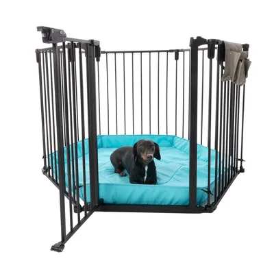 Parc pour chien en métal noir avec coussin bleu, un chien noir à l’intérieur et une pochette beige accrochée à la barrière.