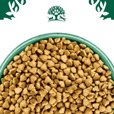 Bowl filled with dry pet food kibble, shown close up to display the shape and texture of the product.