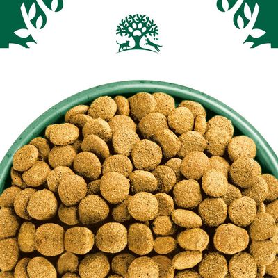 Bowl filled with round dry pet food kibble, shown close up from above. Green tree and animal emblem displayed above the bowl.