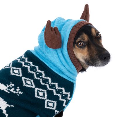 Niebieski sweter dla psa z kapturem i brązowymi uszami, dekoracyjny biały wzór na ciemnozielonej tkaninie.