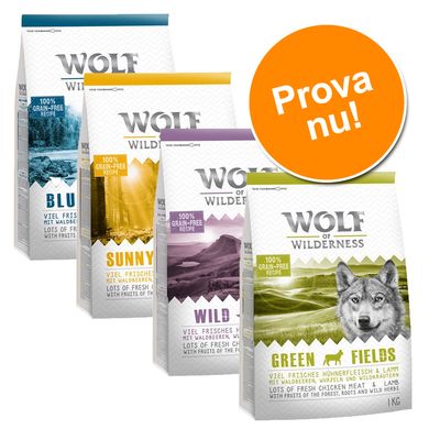 Blandat provpack: 4 x 1 kg Wolf of Wilderness Adult