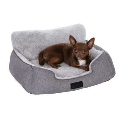 Letto per animali grigio con imbottitura interna morbida e soffice e schienale rialzato. Etichetta del marchio 'Pet Modern' visibile sul davanti.