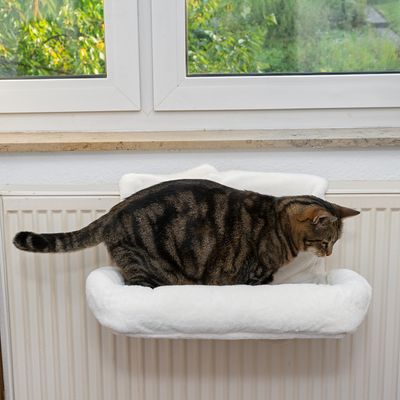 Katzenliege aus weißem Plüsch, montiert auf einem Heizkörper. Eine getigerte Katze sitzt darauf und schaut nach unten.