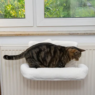 Katzenliege aus weißem Plüsch, montiert auf einem Heizkörper. Eine getigerte Katze sitzt darauf und schaut nach unten.