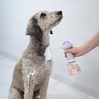 Chien assis recevant de la mousse appliquée sur le pelage à l’aide d’un distributeur manuel avec réservoir transparent et bouton bleu visible.