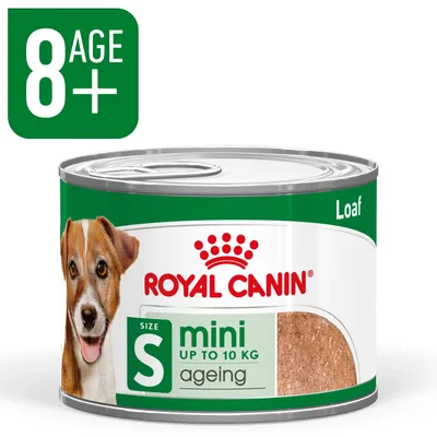 Boîte Royal Canin Loaf, mini S up to 10 kg, ageing, 8+ age, pâtée visible à travers une fenêtre sur l’étiquette, photo de chien, couvercle en métal argenté.