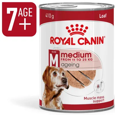Royal Canin Medium Ageing Loaf, 410g, 11–25 kg közötti kutyáknak, 7 éves kortól. Támogatja az izomtömeget.