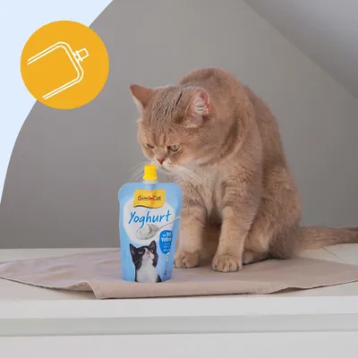 GimCat Yoghurt för katter - 150 g