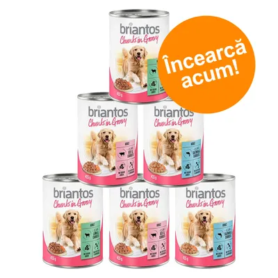 Set 6 conserve briantos Chunks in Gravy, 415 g, cu imagine câine și etichete vizibile: Adult, Beef & Carrots, Salmon & Carrots. Text portocaliu: Încearcă acum!