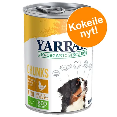 Yarrah BIO-ORGANIC SINCE 1992 koiranruoka, CHUNKS with chicken, nettle & tomato. BIO ORGANIC. Oranssi merkki: Kokeile nyt! Kuvassa myös koira ja piirroskuvia.