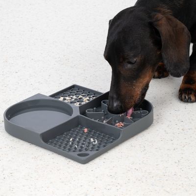 Cane lecca il cibo da un tappetino anti-ingozzamento grigio con diverse texture e scomparti.