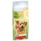 PURINA Friskies Adult Active con Manzo Crocchette per cane Set %: 2 x 12 kg