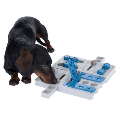 Cane che gioca con un gioco interattivo in plastica, composto da cursori e sportelli blu e grigi.