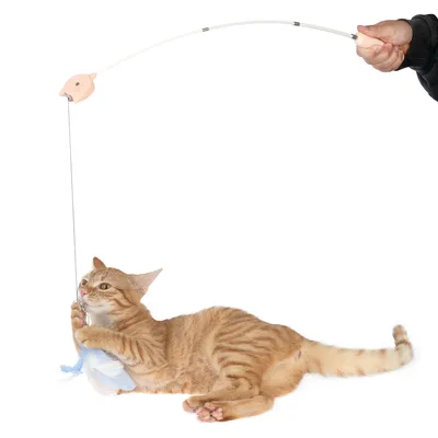Canna da gioco con motivo pesce e piuma, tenuta in mano. Gatto gioca attivamente con la piuma all'estremità della canna.