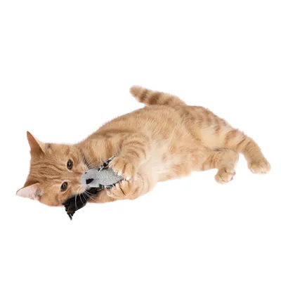 Röd katt leker med ett grått tygleksak i form av en fisk.