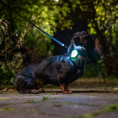 Nomad Tales Bloom USB-anheng med lys