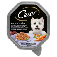 Cesar Vaschette 28 x 150 g Umido per cane - Scelta dello chef: Agnello, Carote e Coriandolo in gelatina